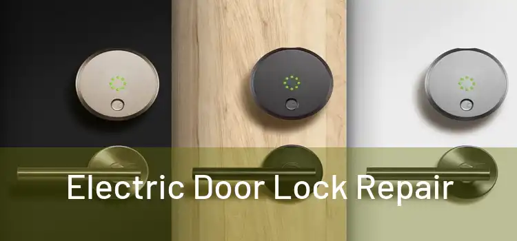 Electric Door Lock Repair
